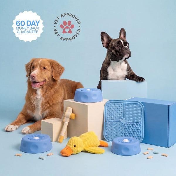 Pup Bowl 2.0