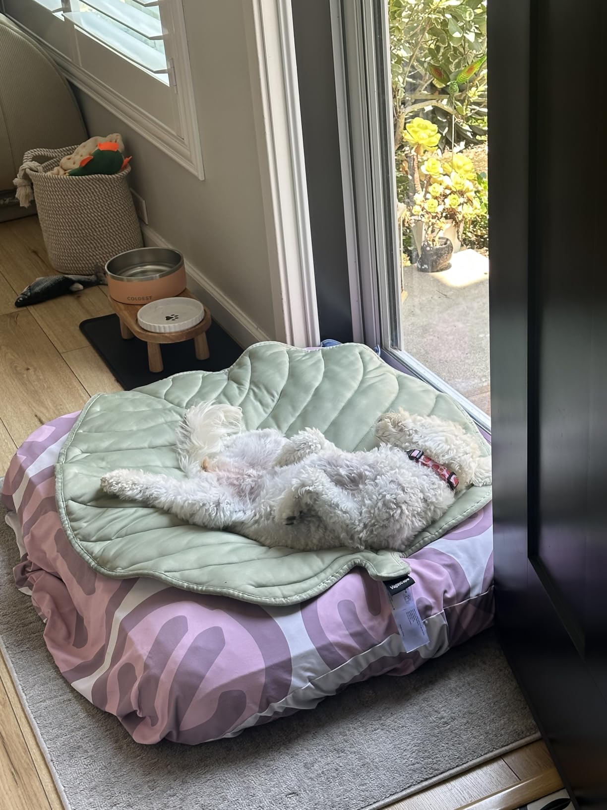Milo