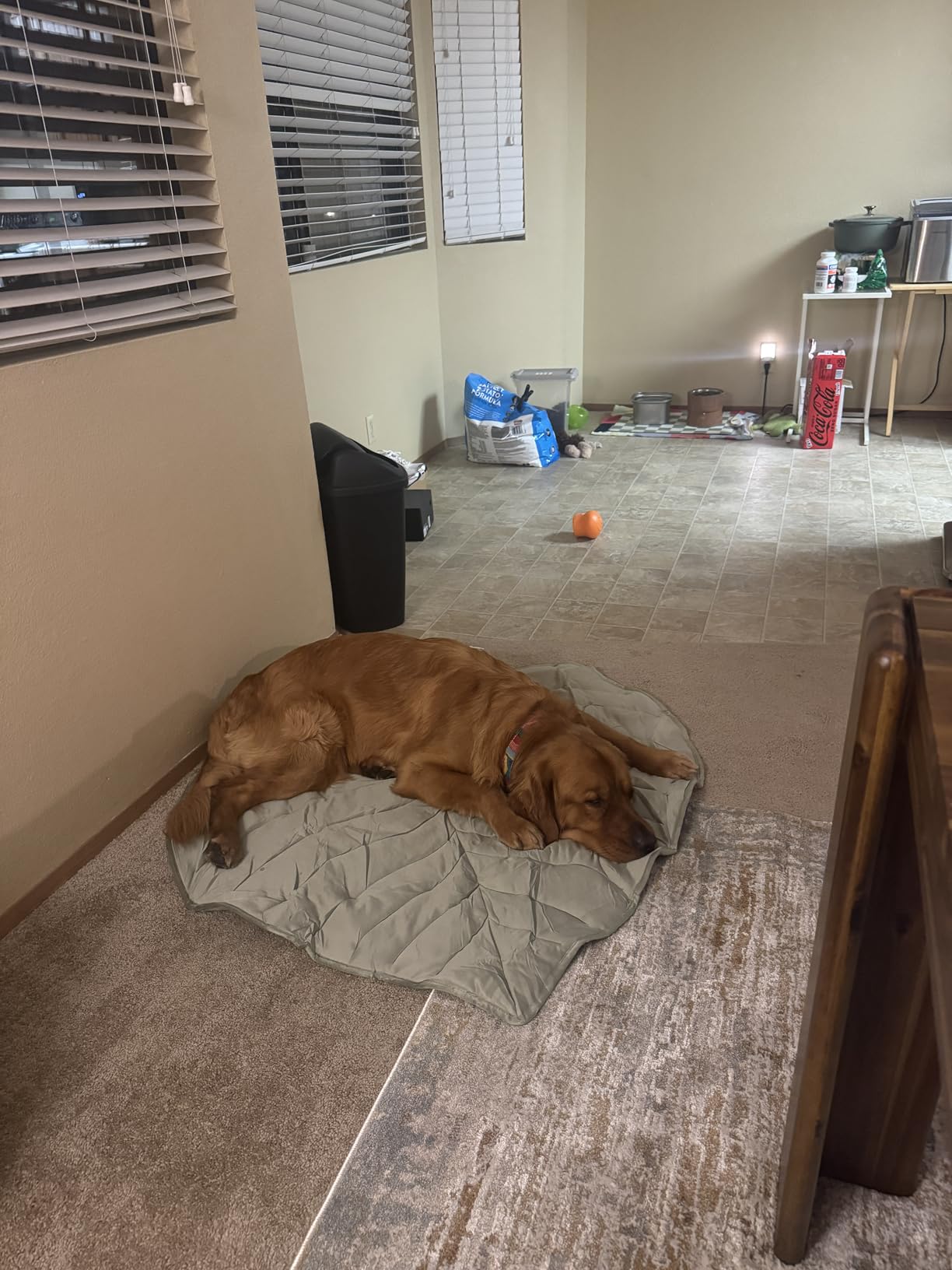 Max