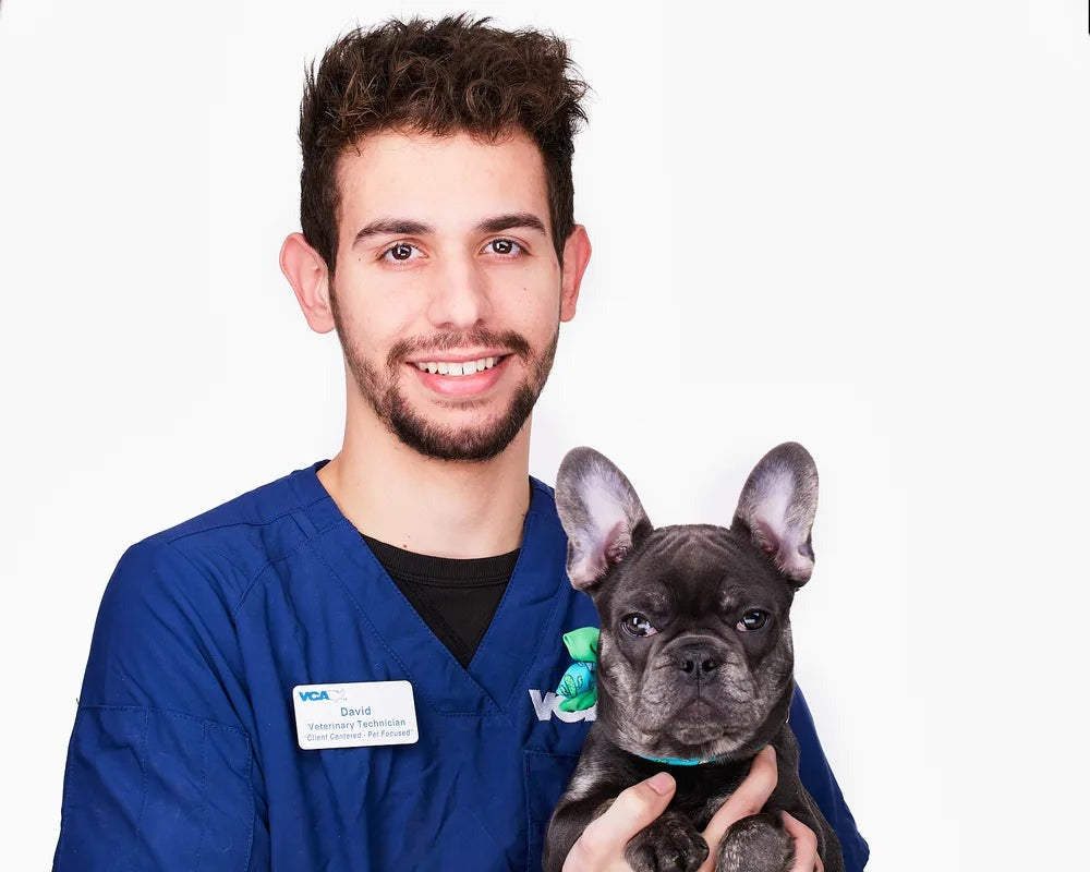 Dr. David Reyes, DVM, PhD
